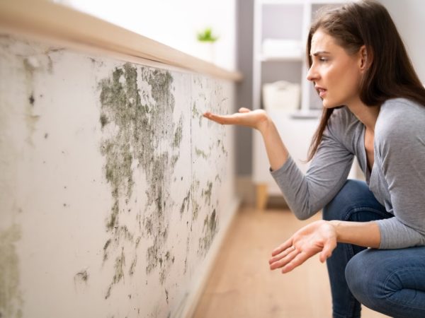 Comment identifier et résoudre le problème de l’humidité des murs ?