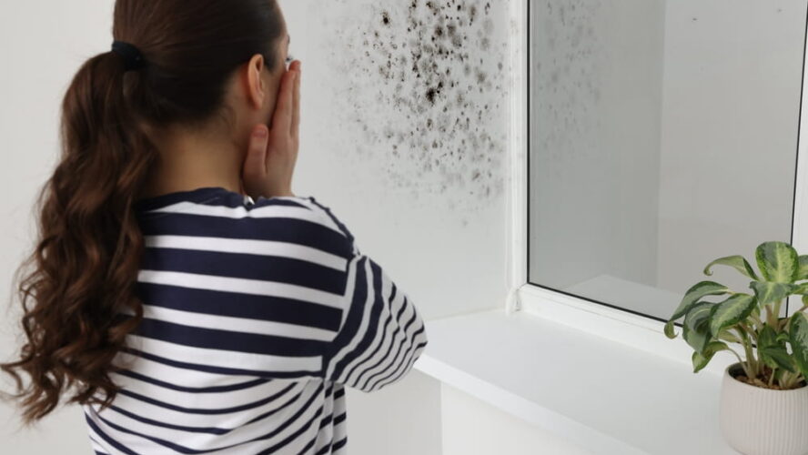 Trouver une solution contre l’humidité maison : stratégies efficaces pour un intérieur sain